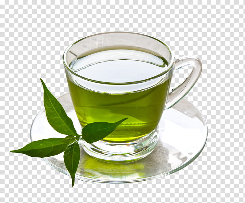 Grey, Green Tea, Darjeeling Tea, White Tea, Tea Plant, Tea Room, Tea Bag, Teacup transparent background PNG clipart
