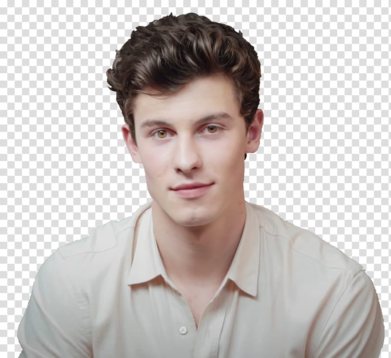 Japan, Shawn Mendes, Chasing Cameron, Shawn Mendes The Tour, Actor, Particular Taste, Perfectly Wrong, Lost In Japan transparent background PNG clipart