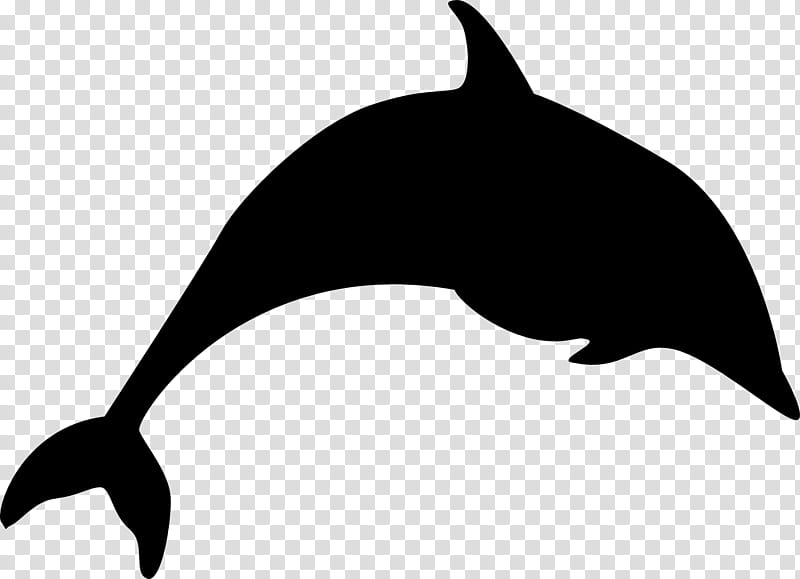Whale, Killer Whale, Dolphin, Silhouette, Whales, Beak, Black M, Bottlenose Dolphin transparent background PNG clipart