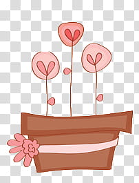 Rositas  ZIP, three pink flowers in pot transparent background PNG clipart