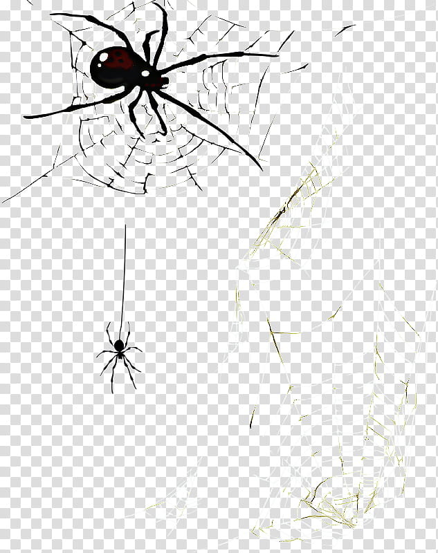 Cartoon Spider, Mosquito, Insect, Line Art, Fly, Pollinator, Cartoon, Eye transparent background PNG clipart