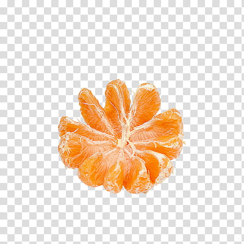New s, sliced orange citrus fruit transparent background PNG clipart
