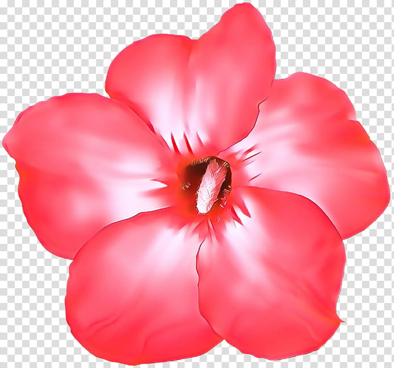 petal pink red flower plant, Cartoon, Flowering Plant, Impatiens, Magenta, Herbaceous Plant transparent background PNG clipart