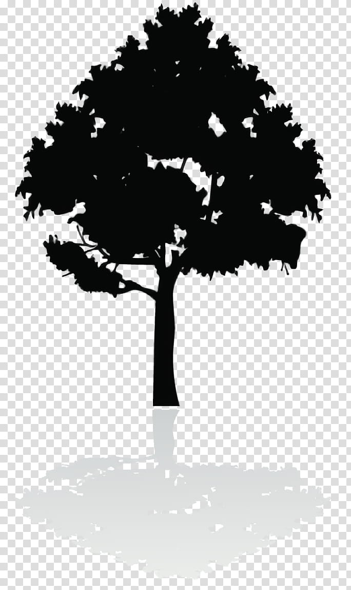 Tree Shadow, Silhouette, Fond Blanc, Logo, Woody Plant, Leaf, World, Blackandwhite transparent background PNG clipart