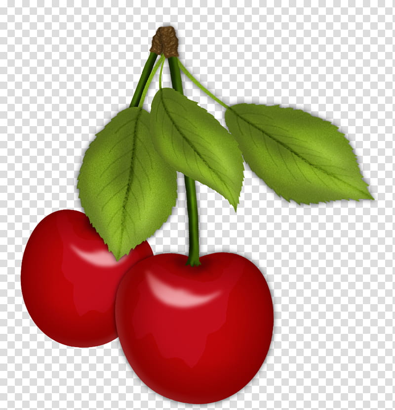 Cherries, two red berries illustration transparent background PNG clipart