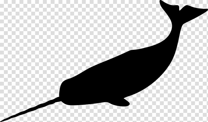 Sea Bird, Narwhal, Silhouette, Drawing, Stencil, Whales, Beak, Tail transparent background PNG clipart