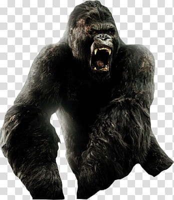 King Kong transparent background PNG clipart