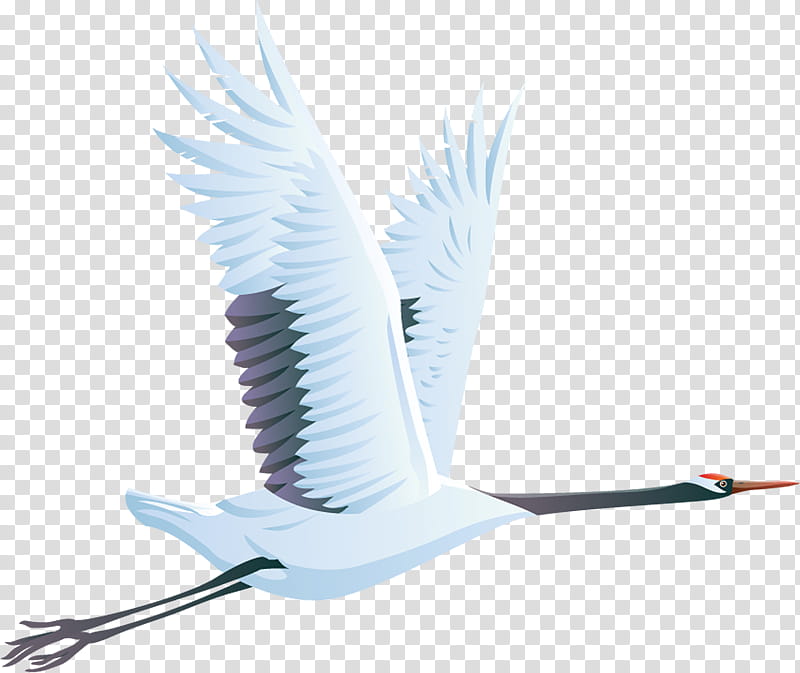 Crane Bird, Redcrowned Crane, Animal, Great Herons, Wader, Tamatebako, Blog, Wing transparent background PNG clipart