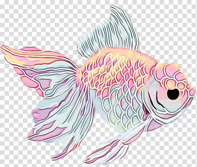 fish fish pink goldfish carp, Watercolor, Paint, Wet Ink, Wing, Tail, Drawing transparent background PNG clipart