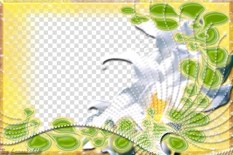 Lav Frame , white flowers illustration transparent background PNG clipart