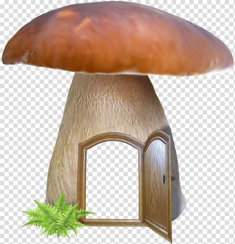 mushroom penny bun edible mushroom bolete agaricomycetes, Agaricaceae, Agaricus, Fungus transparent background PNG clipart