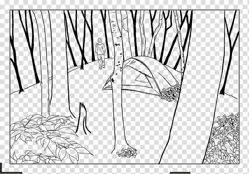 Forest, Drawing, Line Art, Coloring Book, Pencil, Colored Pencil, White, Text transparent background PNG clipart