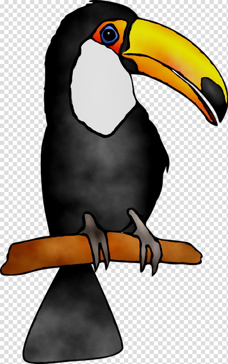 Hornbill Bird, Toucan, Beak, Flightless Bird, Piciformes, King Penguin, Emperor Penguin, Coraciiformes transparent background PNG clipart