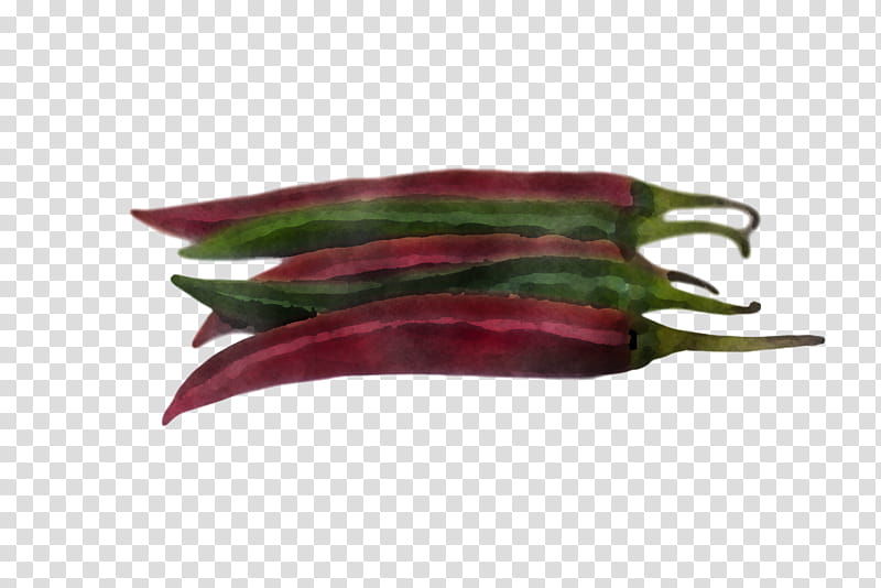 vegetable plant okra chili pepper eggplant, Peperoncini, Food transparent background PNG clipart