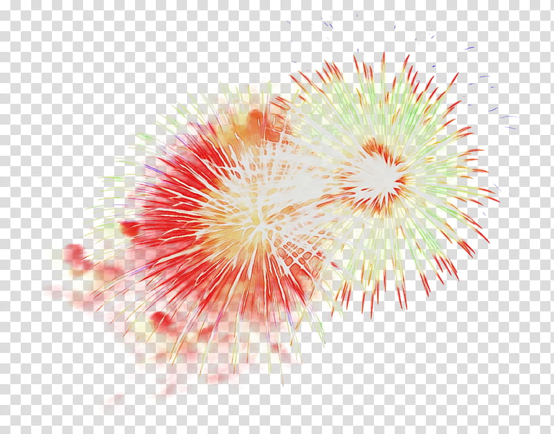 Fireworks, Explosive, Material, Computer, Pollen, Orange Sa, Sky, Event transparent background PNG clipart