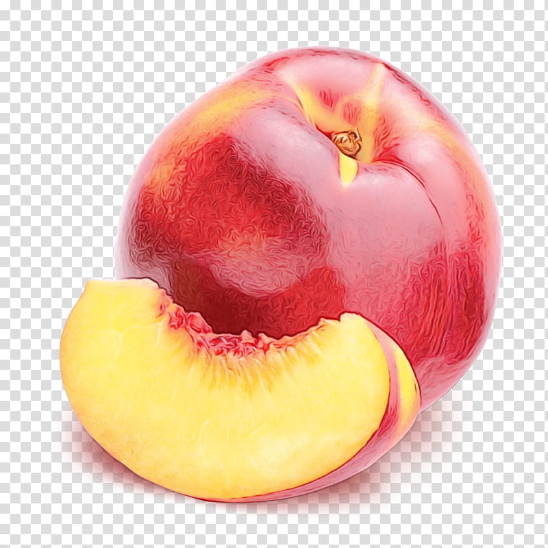 fruit peach plant food nectarines, Watercolor, Paint, Wet Ink, European Plum, Lip, Superfood transparent background PNG clipart