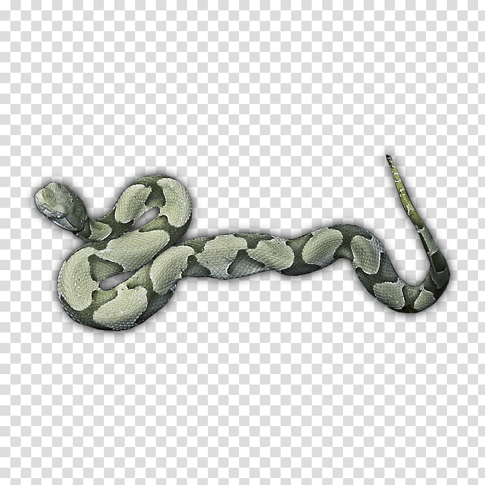 RPG Map Elements , gray python snake transparent background PNG clipart