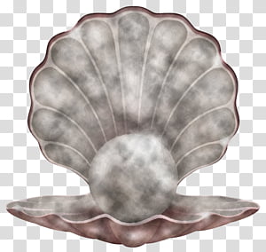leaf petal transparent background PNG clipart thumbnail