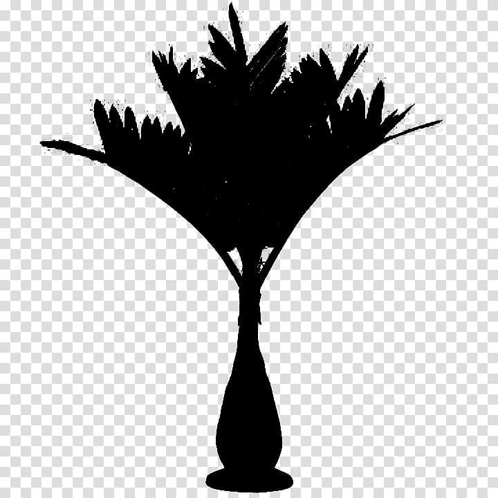 Tree Branch Silhouette, Palm Trees, Lightemitting Diode, Trunk, Lighting, Hyophorbe Lagenicaulis, Twig, Leaf transparent background PNG clipart