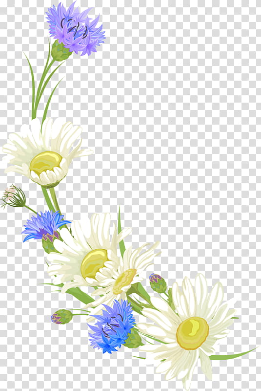 Bouquet Of Flowers, Floral Design, Cut Flowers, Chrysanthemum, Flower Bouquet, Oxeye Daisy, Blume, Petal transparent background PNG clipart