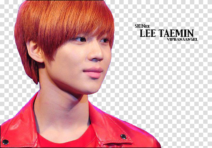 Taemin transparent background PNG clipart