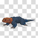 Spore creature Rainbow agama male , blue and orange reptile transparent background PNG clipart