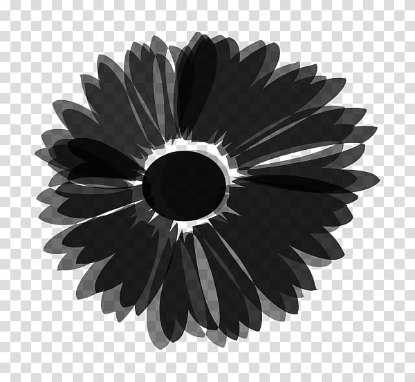Flower Plant, Wheel, Medal, Color, License, Gerbera, Black Hair, Metal transparent background PNG clipart