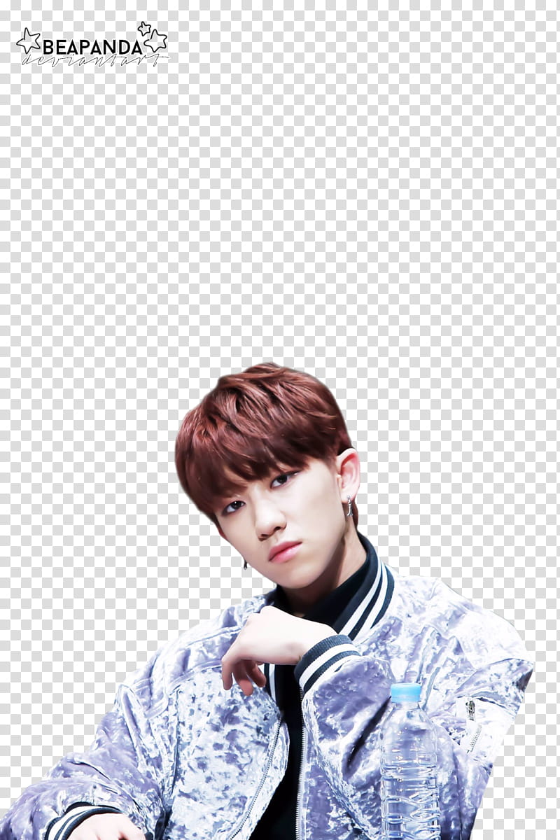 The SEVENTEEN, male KPOP transparent background PNG clipart