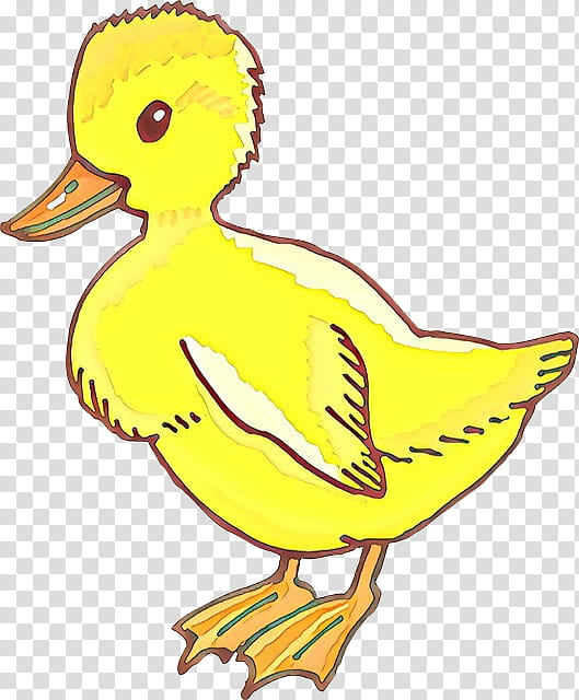 bird duck ducks, geese and swans water bird beak, Cartoon, Ducks Geese And Swans, Yellow, Waterfowl, American Black Duck, Goose transparent background PNG clipart