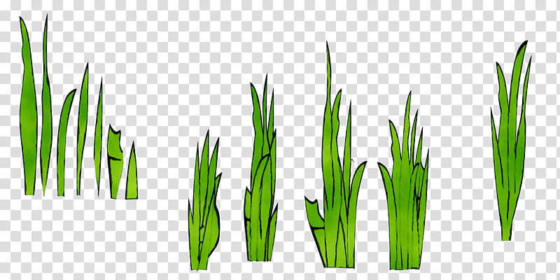 Green Leaf Logo, Wheatgrass, Commodity, Plant Stem, Plants, Grass Family, Elymus Repens, Lawn transparent background PNG clipart