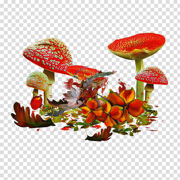 Floral design, Mushroom, Agaric, Plant, Anthurium, Leaf, Aquarium Decor, Carnivorous Plant transparent background PNG clipart
