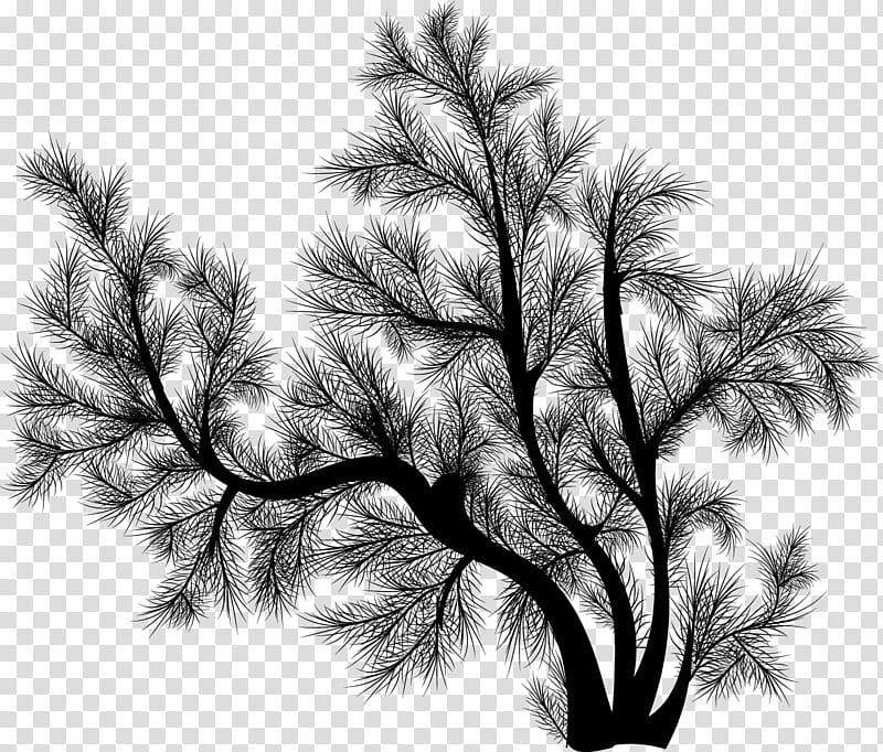 Pine Silhouettes, black tree illustration transparent background PNG clipart