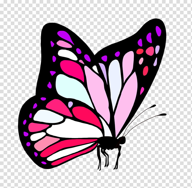 Monarch Butterfly Drawing, Borboleta, Painting, Cabbage White, Line Art, Moths And Butterflies, Pink, Insect transparent background PNG clipart