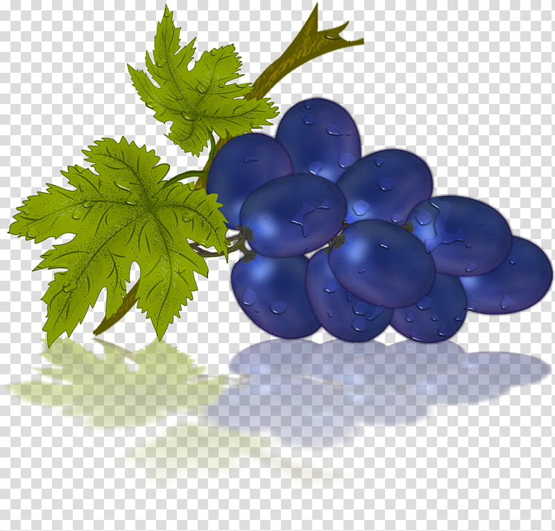 Contrasting Black Grape, blue grape fruits illustration transparent background PNG clipart