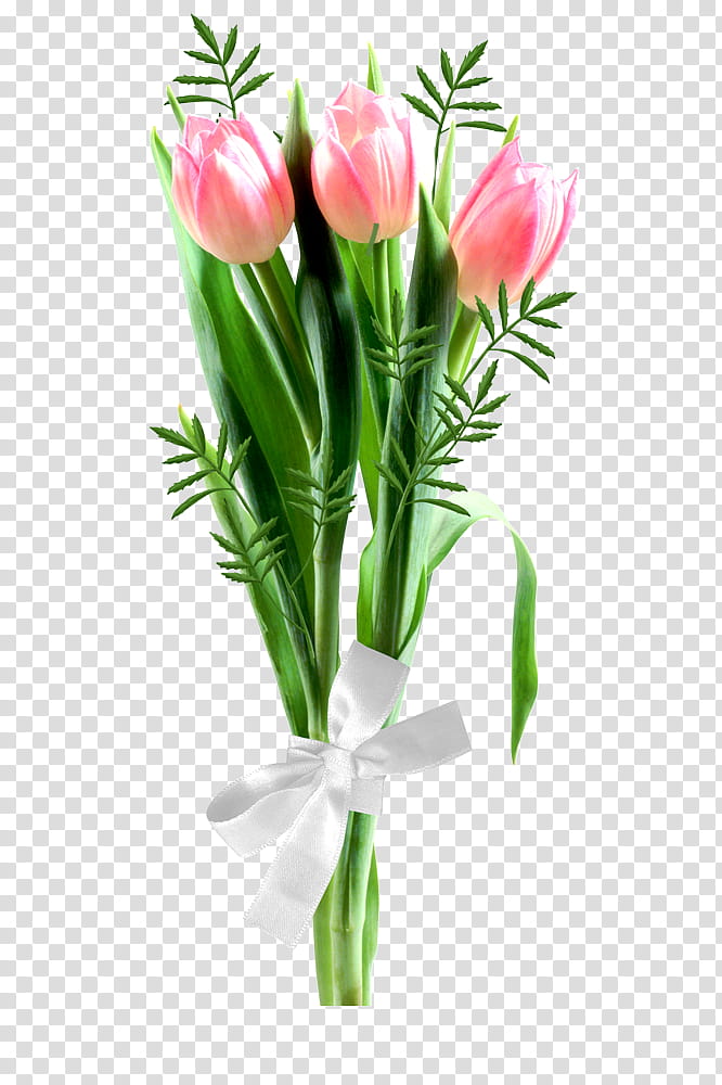 Lily Flower, Garden Roses, Cut Flowers, Tulip, Flower Bouquet, Pink, Green, Floral Design transparent background PNG clipart