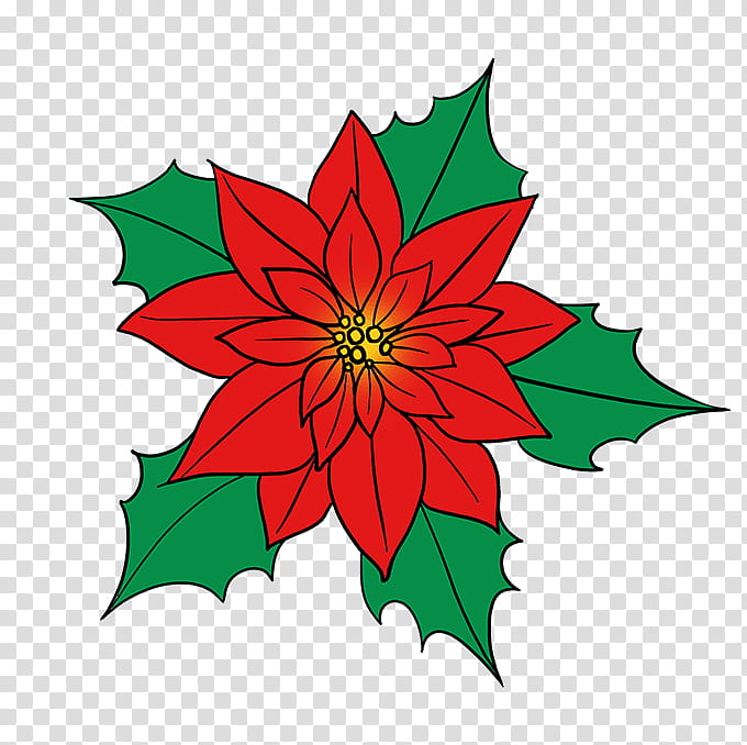 Christmas Tree Line Drawing, Poinsettia, Flower Drawings, Coloring Book, Doodle, Tutorial, Line Art, Christmas Day transparent background PNG clipart
