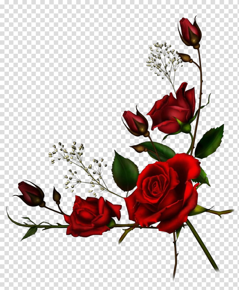 Floral Flower, Pop Art, Retro, Vintage, Garden Roses, Rose Family, Floribunda, Hybrid Tea Rose transparent background PNG clipart