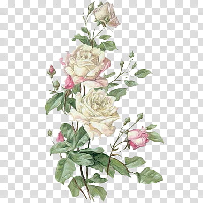 Cốt lõi của phong cách cổ điển chính là sự thanh lịch và tinh tế, và bức tranh hoa cổ điển trong suốt màu trắng và hồng sẽ giúp bạn thể hiện điều đó đến mức tối đa. Hãy ngắm nghía bức tranh của chúng tôi và cảm nhận nhé.