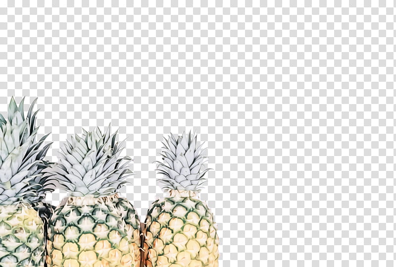 Pineapple, Ananas, Fruit, Plant, Poales, Food transparent background PNG clipart