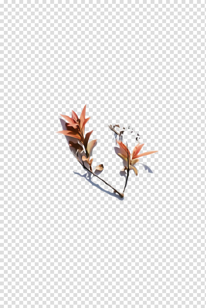 flower plant leaf branch twig, Magnolia, Magnolia Family transparent background PNG clipart