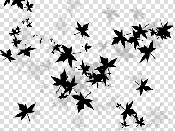 black leaves illustration transparent background PNG clipart