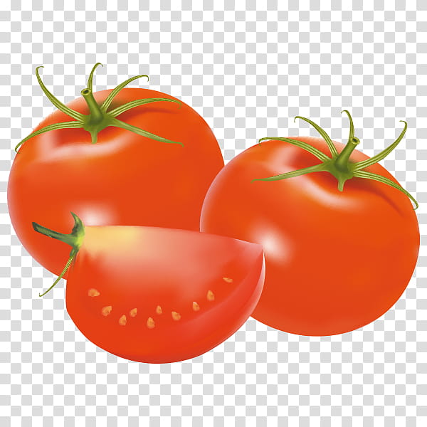 Onion, Plum Tomato, Vegetarian Cuisine, Food, Welsh Onion, Garlic, Bush Tomato, Coriander transparent background PNG clipart