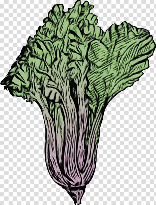 cabbage leaf vegetable plant vegetable tree, Watercolor, Paint, Wet Ink, Cruciferous Vegetables transparent background PNG clipart