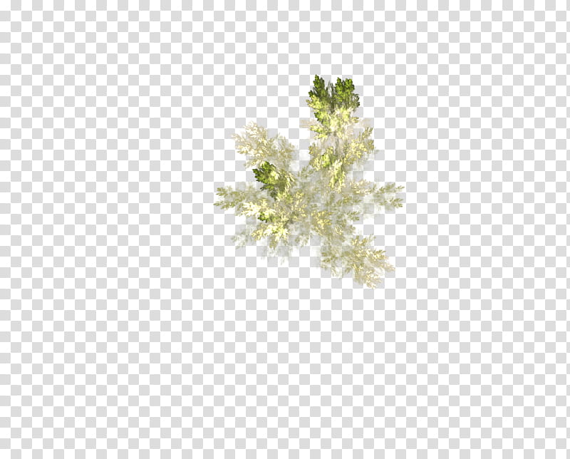 Aqua Set Fractal Set III, yellow and black petaled flower transparent background PNG clipart