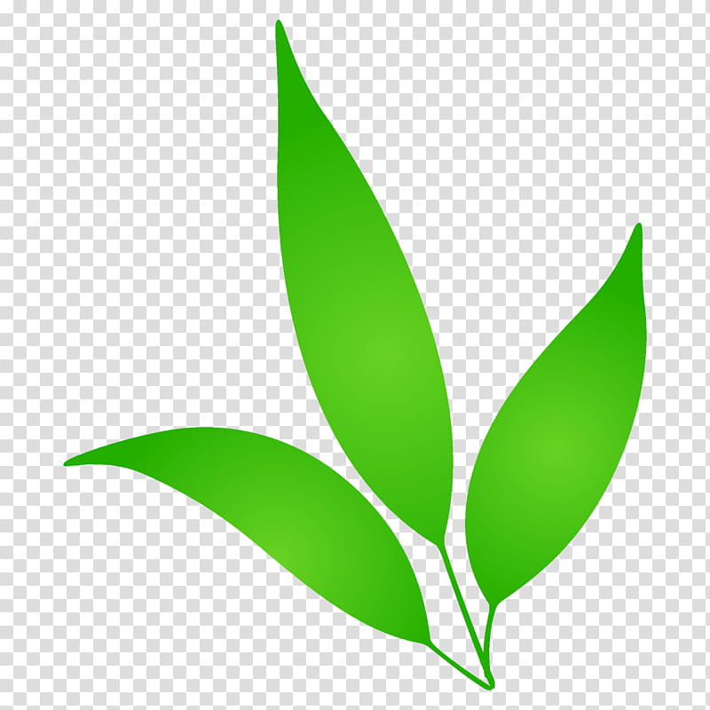 leaf green plant logo flower, Cartoon Leaf, Cute Leaf, Leaf transparent background PNG clipart