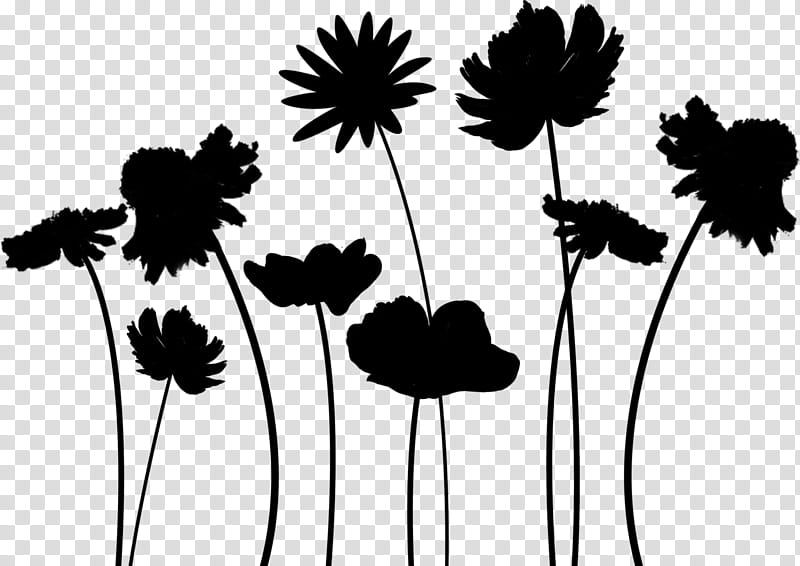 Black And White Flower, Dandelion, Black White M, Leaf, Plant Stem, Silhouette, Computer, Plants transparent background PNG clipart