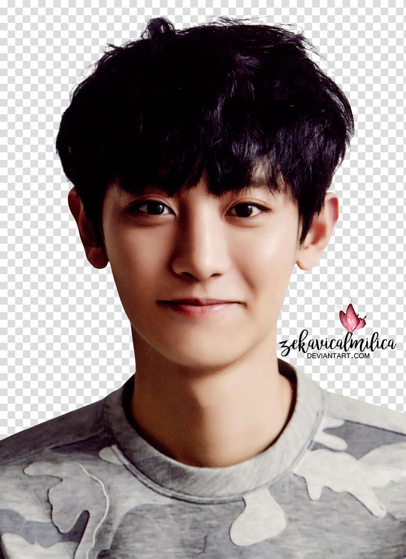 EXO Chanyeol  Season Greetings, Exo Chanyeol transparent background PNG clipart