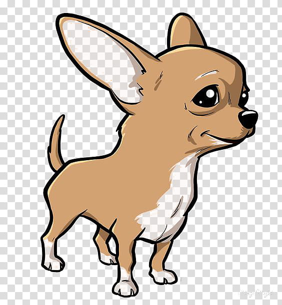 Dog Drawing, Chihuahua, Puppy, Cartoon, Merle, Pet, Snout, Toy Dog transparent background PNG clipart