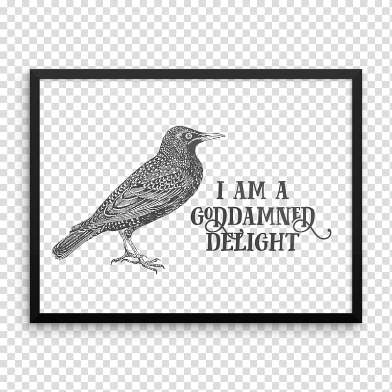 talking bird clipart black