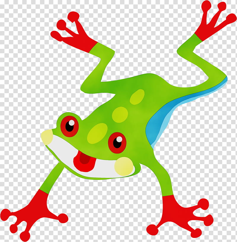 agalychnis tree frog frog tree frog, Watercolor, Paint, Wet Ink, Shrub Frog, True Frog, Hyla transparent background PNG clipart